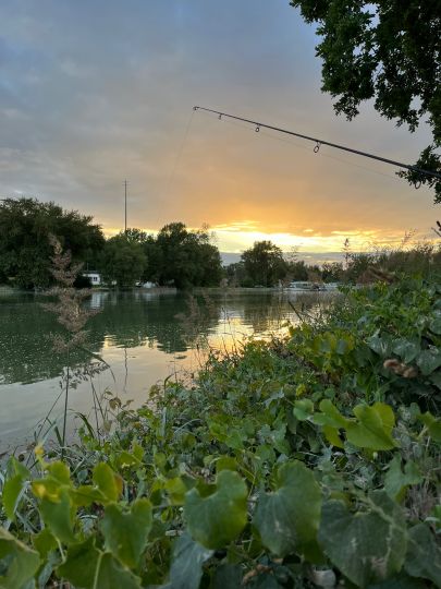 Hafen Maximiliansau-1