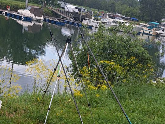 Hafen Maximiliansau-2