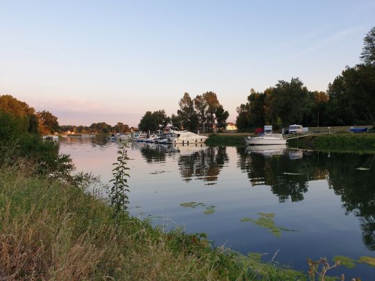 Hafen Maximiliansau-3