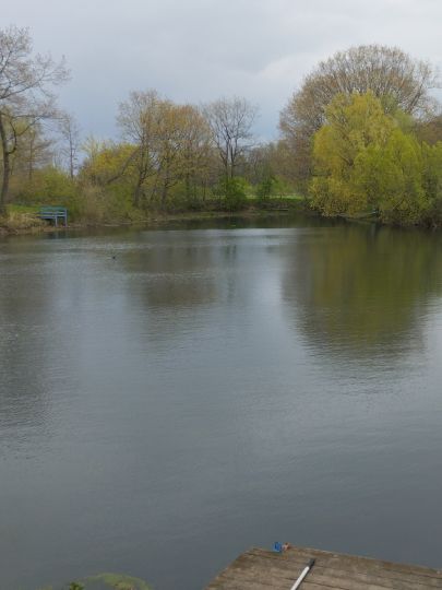 Angelsee Hückelhoven-Doverack-1