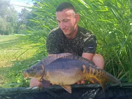 Niederwiesenweiher (Iggelheim)