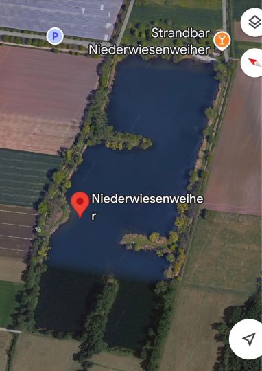 Niederwiesenweiher (Iggelheim)-1