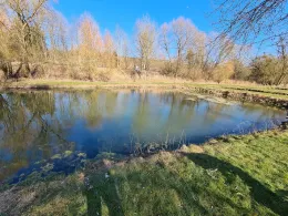 Forellengrund Mühlenteich (Osterode) 