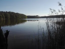 Maxsee (Hoppegarten)-1