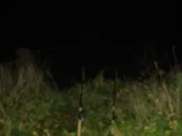 Mittellandkanal (Hille/Westfalen)