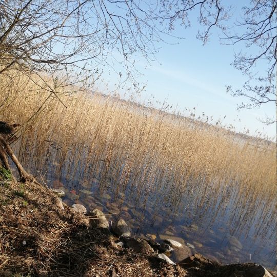 Selenter See-1