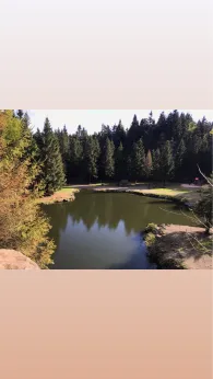 Bergsee (Ebertswiese)