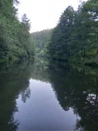 Zschopau (Wolkenstein)-3