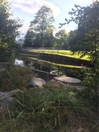 Wiese (Schönau im Schwarzwald)