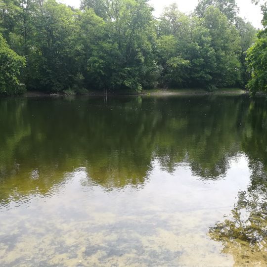 Hubertussee (Borgsdorf)-2