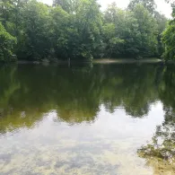 Hubertussee (Borgsdorf)-2