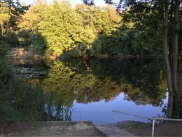 Hubertussee (Borgsdorf)-4