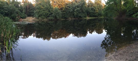 Hubertussee (Borgsdorf)-3
