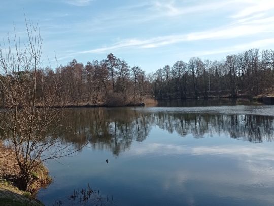 Fürstenwalder Spree