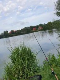 Oberteich (Schönberg)-2