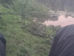 Oberteich (Schönberg)-3