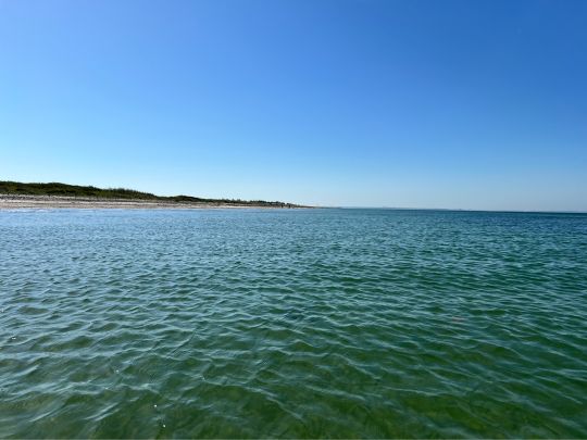 Ostsee (Fehmarn-Wallnau)-3