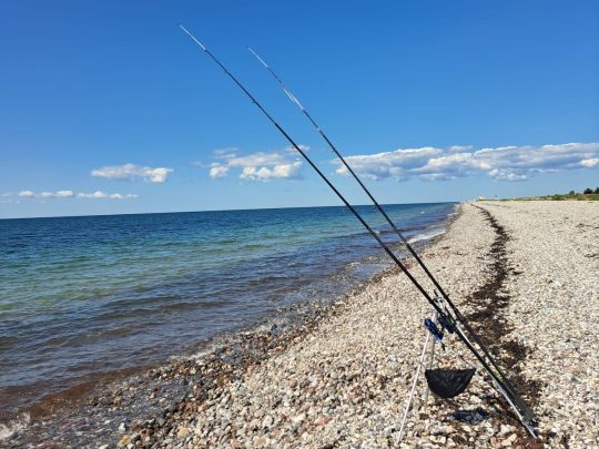 Ostsee (Fehmarn-Wallnau)-2