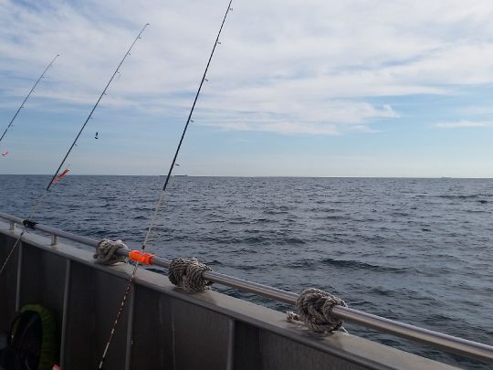 Ostsee (Fehmarn-Wallnau)-1