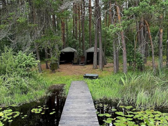 Plitnica Lake (Koshechky)-1