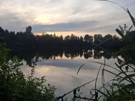 Fehmbacher Weiher-1