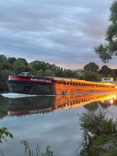 Neckarkanal Schwabenheim-3