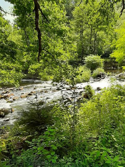 Freiberger Mulde (Reinsberg-Siebenlehn)-3