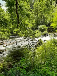 Freiberger Mulde (Reinsberg-Siebenlehn)-3