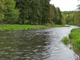 Freiberger Mulde (Reinsberg-Siebenlehn)-1