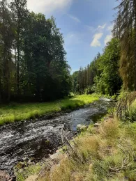 Freiberger Mulde (Reinsberg-Siebenlehn)-4