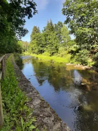 Freiberger Mulde (Reinsberg-Siebenlehn)-2