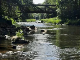 Freiberger Mulde (Reinsberg-Siebenlehn)