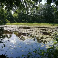 Torflöcher Klueß-1