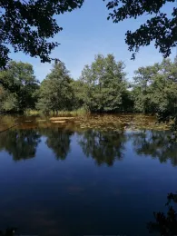 Torflöcher Klueß-2