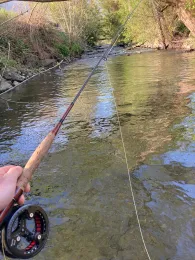 Emsbach (Bad Camberg)