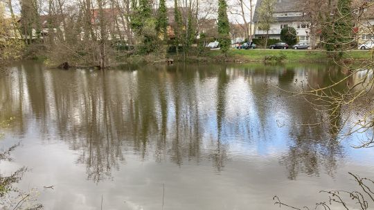 Feuersee (Vaihingen)-1