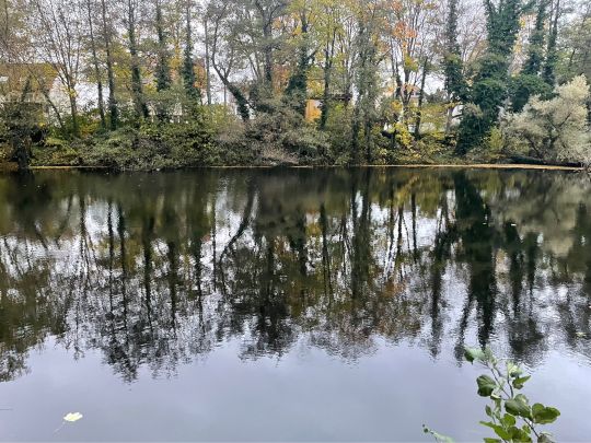 Feuersee (Vaihingen)-2