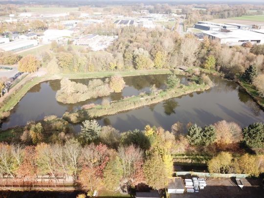 Wilder Pool (Dinklage)-1