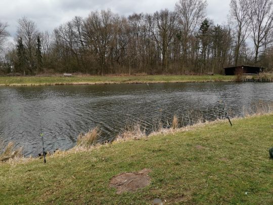 Wilder Pool (Dinklage)-3