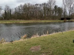 Wilder Pool (Dinklage)-3