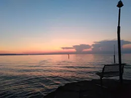 Bodensee (Altenrhein)