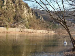 Mosel (Müden-Moselkern)-1