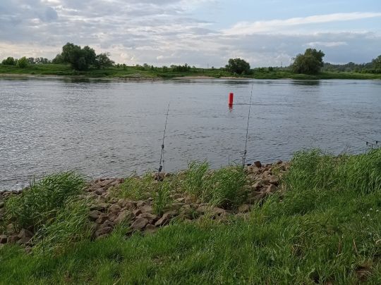 Elbe (Hohenwarthe)-2