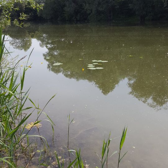 Baggersee Hamlar-0