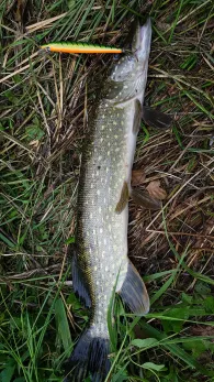 Jümme-Altarm Dullert