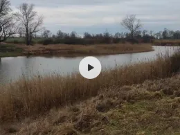 Moorslake (Schartau)