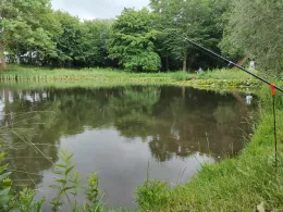 Mühlenteich (Cloppenburg)-2