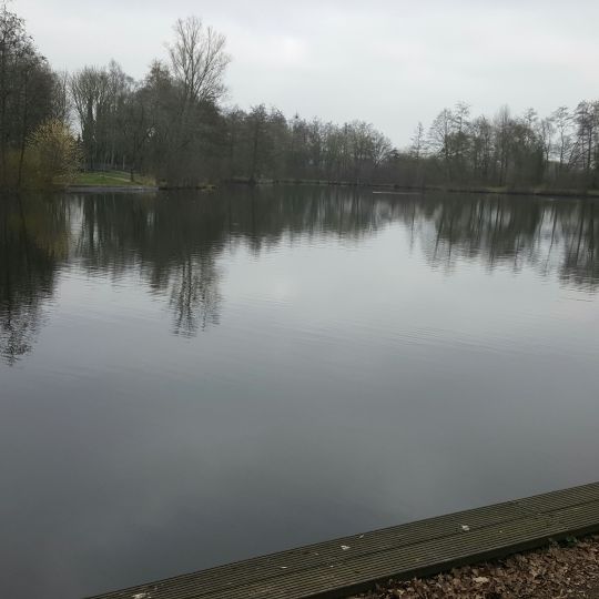 Mühlenteich (Cloppenburg) ALLE ANGELN