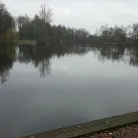 Mühlenteich (Cloppenburg)-4