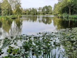 Mühlenteich (Cloppenburg)-2